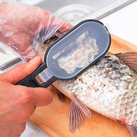 Рыбочистка Cleanfish. Вид 1