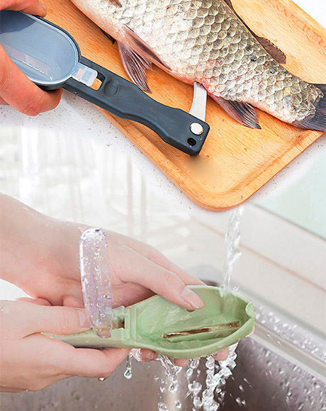 Рыбочистка Cleanfish. Вид 2